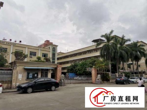  石碣刘屋村一楼600方（无公摊带2吨行车）