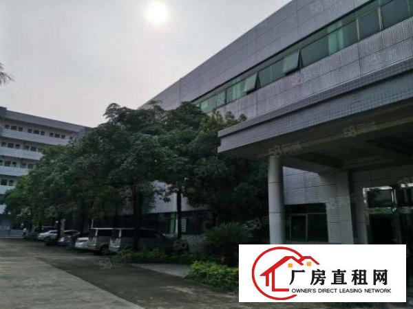 石碣刘屋一楼550方（现成装修水电齐全）