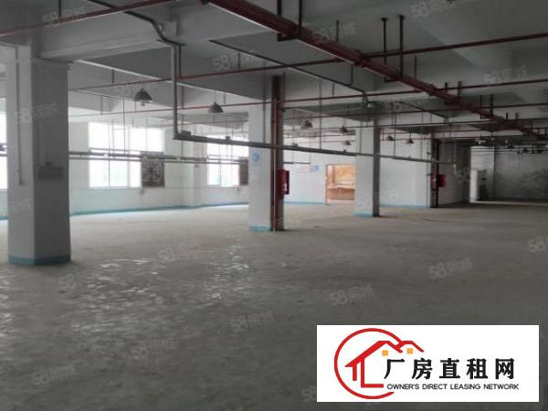  石碣三村第四工业区10000平方200平起租无公摊带环评精装