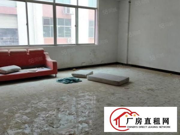  石碣三村第四工业区10000平方200平起租无公摊带环评精装