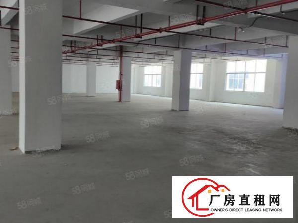  石碣三村第四工业区10000平方200平起租无公摊带环评精装