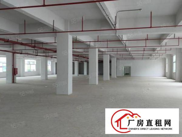  石碣三村第四工业区10000平方200平起租无公摊带环评精装