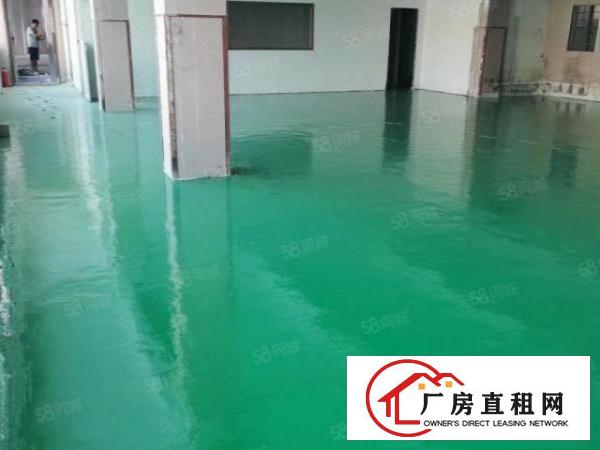  石碣刘屋招租标准独院厂房三楼800平方，现成豪华装修！