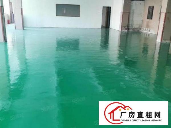  石碣刘屋招租标准独院厂房三楼800平方，现成豪华装修！