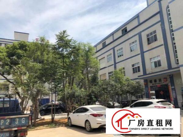  石碣刘屋工业区新出独院厂房大小可分租
