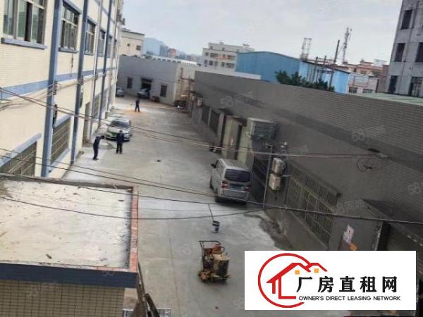  石碣刘屋工业区新出独院厂房大小可分租