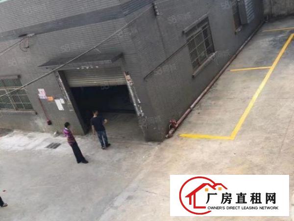  石碣刘屋工业区新出独院厂房大小可分租