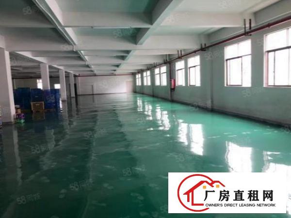  石碣刘屋工业区新出独院厂房大小可分租