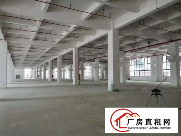  石碣标准一楼5500方（可分租高7米带牛角位好办环评）