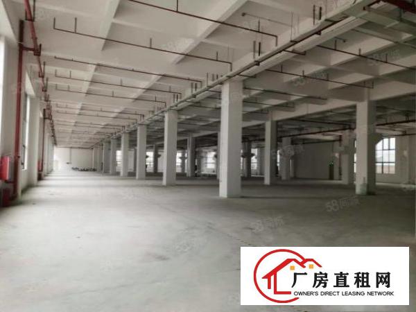  石碣标准一楼5500方（可分租高7米带牛角位好办环评）