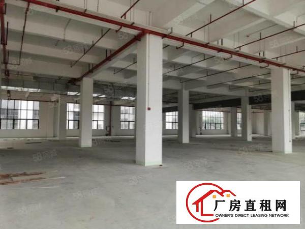 石碣标准一楼5500方（可分租高7米带牛角位好办环评）