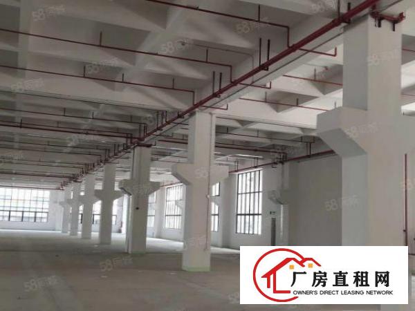  石碣标准一楼5500方（可分租高7米带牛角位好办环评）