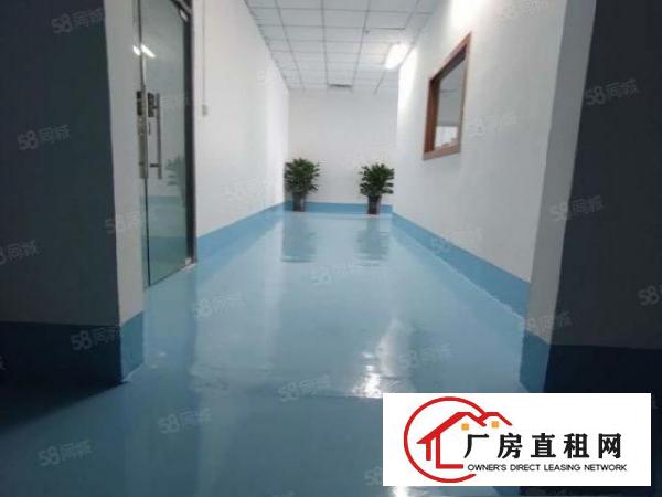  石碣二楼900平方，带豪华装修，两部三吨电梯直达车间，可分租