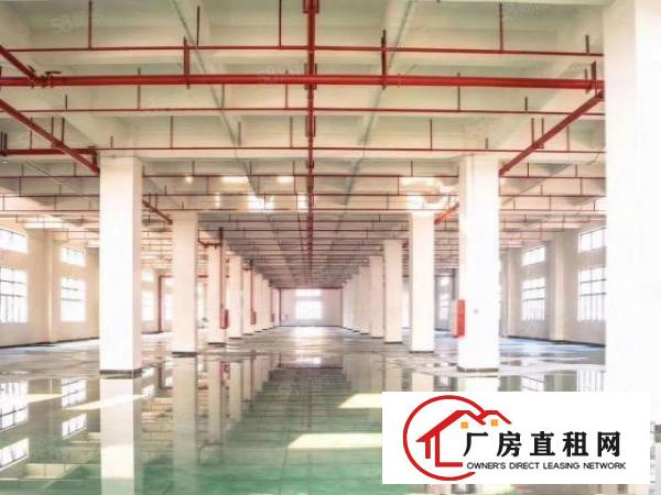  新出原房东静盘，价格实惠