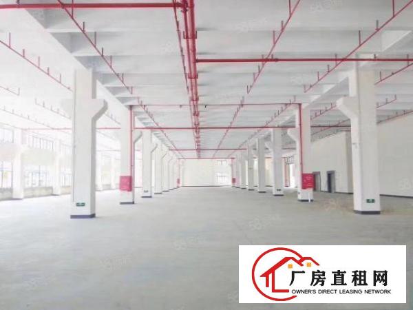 新出原房东静盘，价格实惠