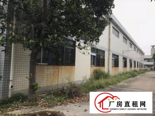  石碣镇新出标准厂房一楼出租600平方，报价15元，易招工