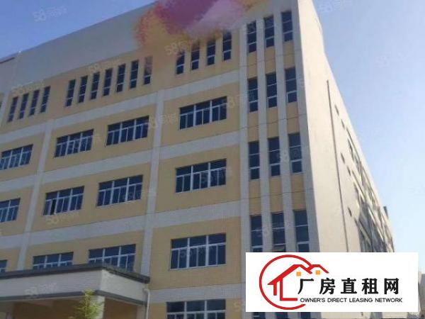  石碣镇标准厂房出租二楼2500方，租金13元，带卸货平台！