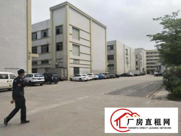  石碣镇标准厂房出租二楼2500方，租金13元，带卸货平台！