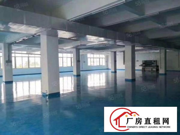  石碣镇工业区独院厂房一楼1200方目前做自动化的干净带装修