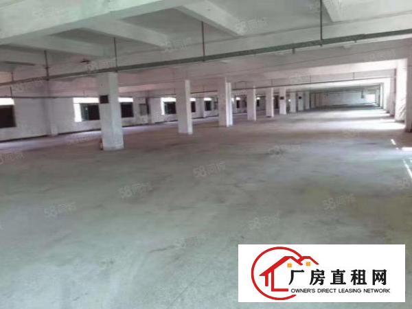  新出独门独院厂房价格实惠