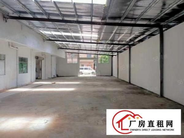  新出独门独院厂房价格实惠