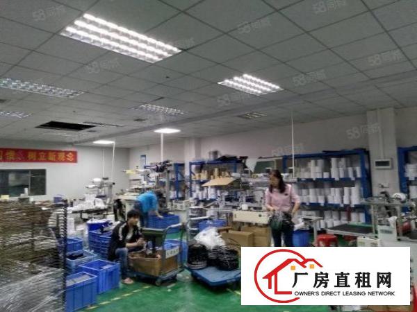  石碣涌口厂房3楼650方（现成装修水电齐全）