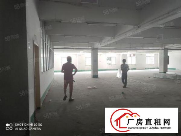  石碣新出原房东独门独院厂房二楼带新办公室可空地大大车可掉头