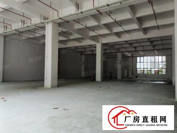  石碣桔州一楼1000方（内高7米空地大）