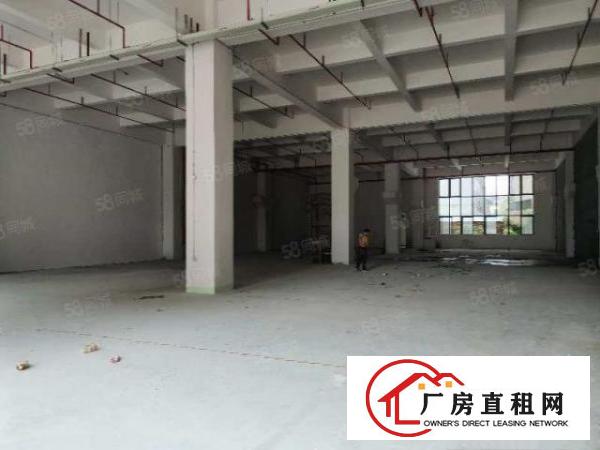  石碣桔州一楼1000方（内高7米空地大）