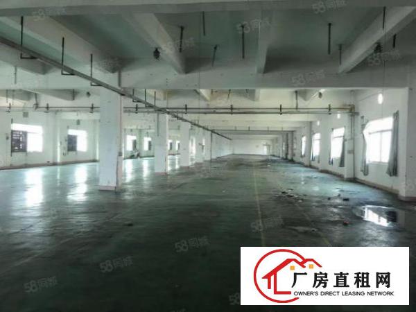  石碣经典小独特2080招租，物美价廉！!