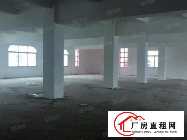  新建豪华装修花园式厂房出租