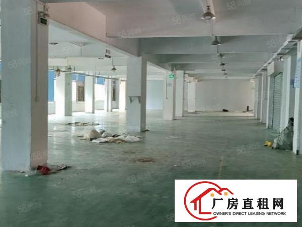  石碣新出原房东厂房二楼3000方，价格实惠