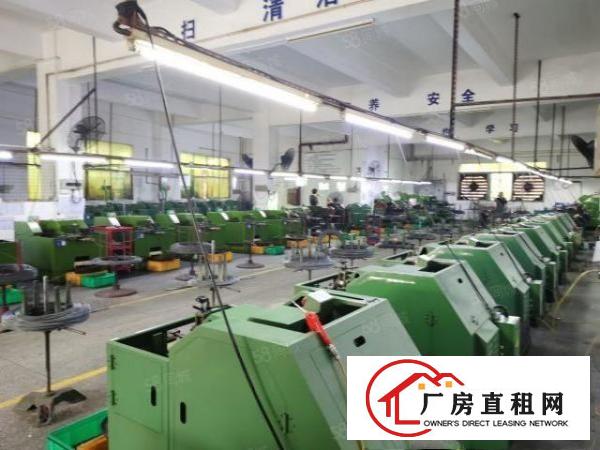  石碣镇西南工业区独院厂房1一2楼共1800方可分900方