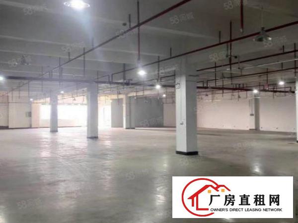  新出豪华装修重工业厂房
