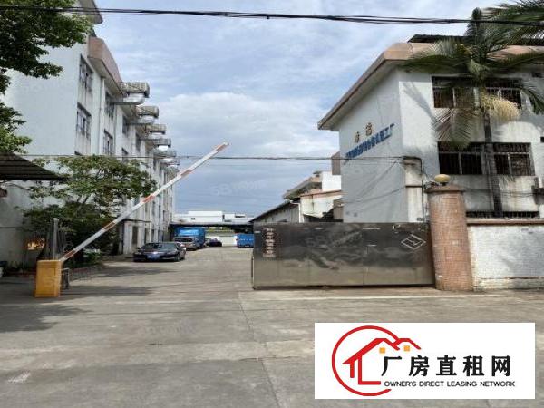 非中介，石碣四甲四兴路独院厂房