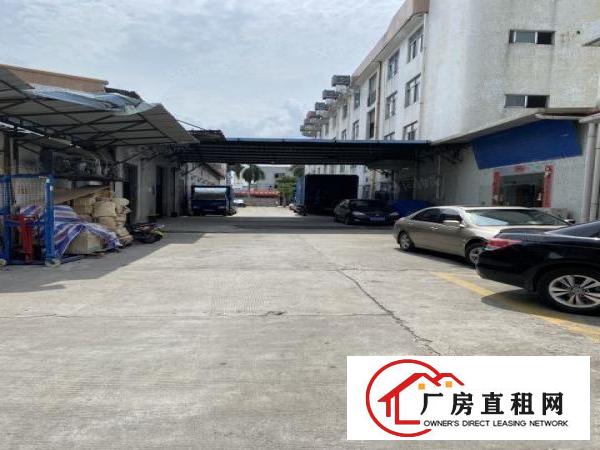  非中介，石碣四甲四兴路独院厂房