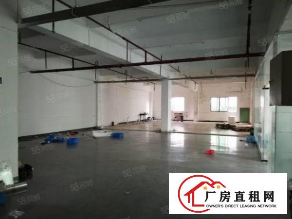  石碣西南村厂房一楼900方二楼900方（可分租现成装修）