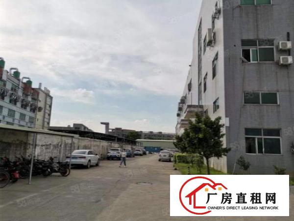  石碣唐洪标准厂房一楼900方（内高6米带5吨行车）