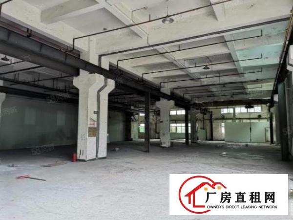  石碣唐洪标准厂房一楼900方（内高6米带5吨行车）