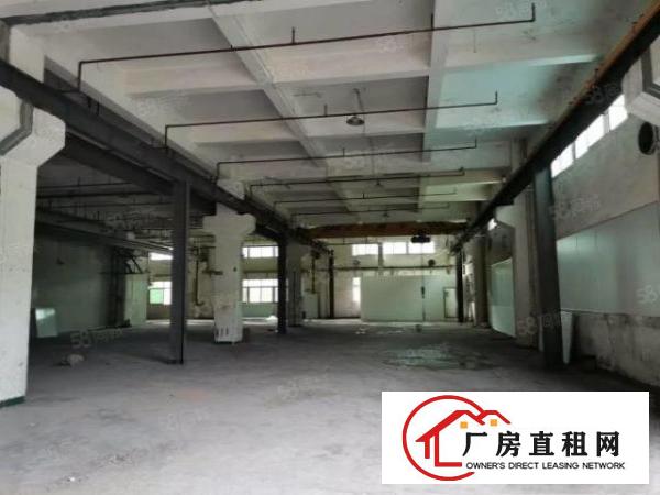  石碣唐洪标准厂房一楼900方（内高6米带5吨行车）