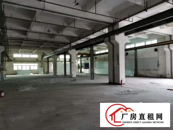  石碣唐洪标准厂房一楼900方（内高6米带5吨行车）