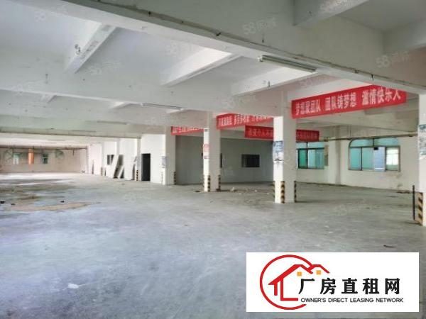  石碣镇横滘工业区一楼1000方