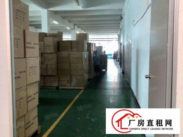  石碣刘屋招租标准独院厂房一楼1200平方，现成装修，办公室！