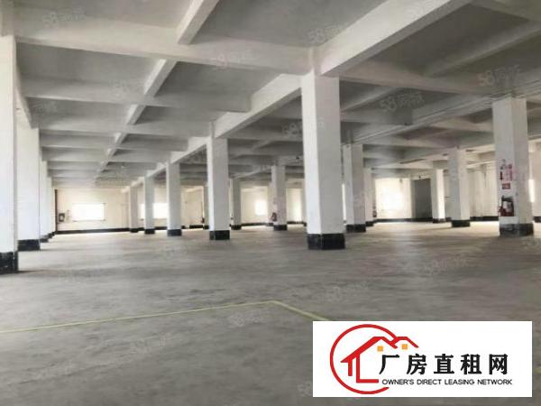  非中介，石碣四甲标准独园厂房可分租位置优美。周边配套齐全。
