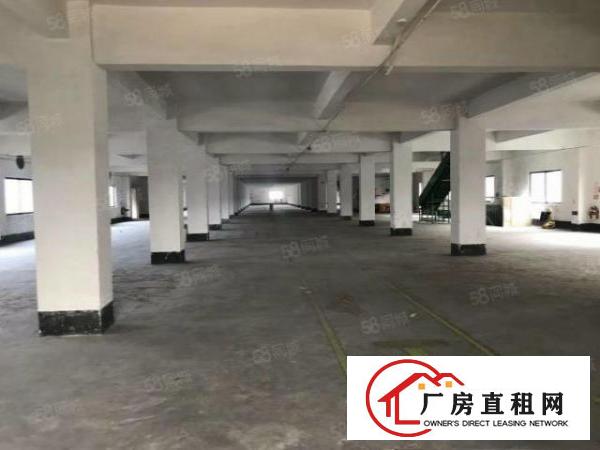  非中介，石碣四甲标准独园厂房可分租位置优美。周边配套齐全。