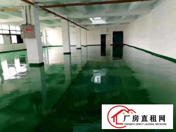  石碣外经工业区新出独门独院空地超大整租16元起