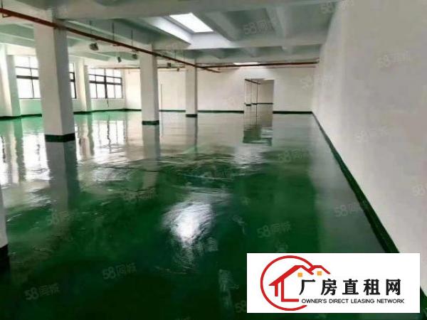  石碣外经工业区新出独门独院空地超大整租16元起