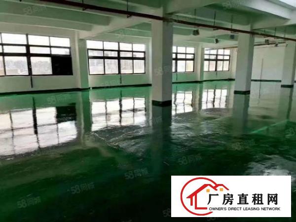  石碣外经工业区新出独门独院空地超大整租16元起