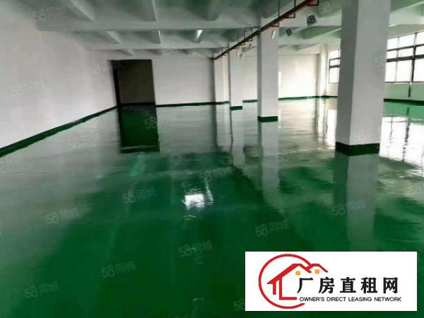  石碣外经工业区新出独门独院空地超大整租16元起