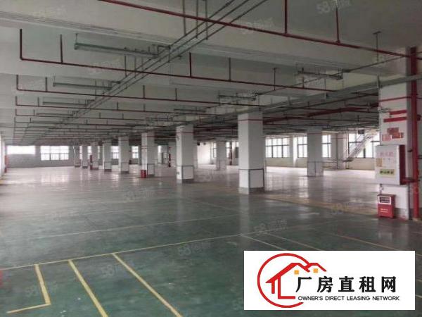  石碣镇全新标准厂房出租二楼整层5500方，租金17元！